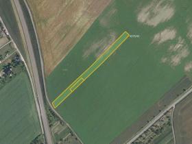Prodej pole, Kuchařovice, 6602 m2