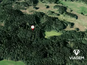 Prodej lesa, Nalžovské Hory, 6708 m2