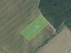 Prodej pole, Hrabyně, 7289 m2