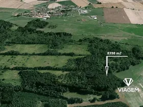 Prodej lesa, Borkovice, 8398 m2
