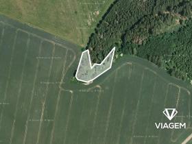 Prodej podílu lesa, Radošovice, 683 m2