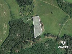 Prodej podílu lesa, Radošovice, 1094 m2