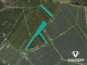 Prodej podílu lesa, Komárov, 8639 m2