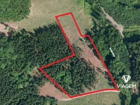 Prodej podílu lesa, Růžďka, 26737 m2