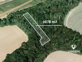 Prodej lesa, Chyňava, 3078 m2