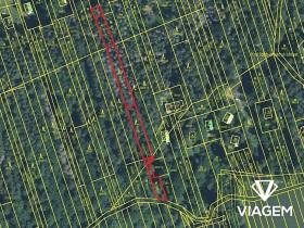 Prodej lesa, Kněždub, 1444 m2