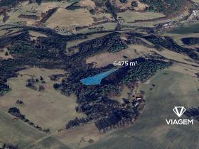 Prodej podílu lesa, Malá Bystřice, 101 m2