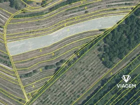 Prodej pole, Lovčičky, 4619 m2