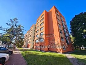 Prodej bytu 3+1, České Budějovice, J. Š. Baara, 76 m2