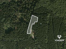 Prodej podílu lesa, Morávka, 2066 m2