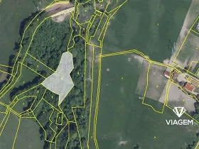 Prodej podílu lesa, Třinec, 982 m2