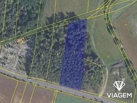 Prodej podílu lesa, Sokoleč, 884 m2