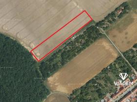 Prodej podílu pole, Letonice, 2980 m2