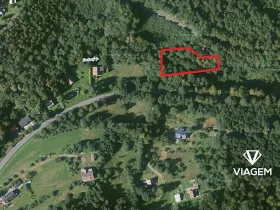 Prodej podílu lesa, Trojanovice, 619 m2