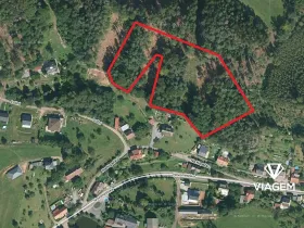 Prodej podílu lesa, Náchod, 6349 m2