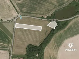 Prodej podílu pole, Choustník, 1343 m2