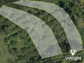 Prodej pole, Obora, 7758 m2