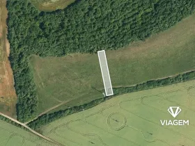 Prodej podílu pole, Syrovín, 469 m2