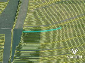 Prodej podílu pole, Suchov, 1236 m2