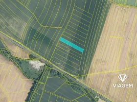 Prodej podílu pole, Hustopeče nad Bečvou, 2032 m2