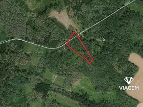 Prodej lesa, Račice, 5005 m2