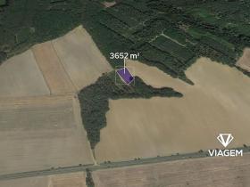 Prodej podílu pole, Horšovský Týn, 304 m2