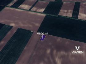 Prodej pole, Troskotovice, 4800 m2