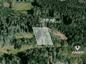 Prodej lesa, Pačejov, 539 m2