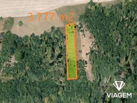 Prodej lesa, Hradec nad Moravicí, 3777 m2