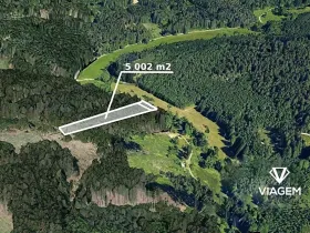 Prodej podílu lesa, Baliny, 3334 m2