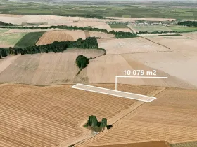 Prodej podílu pole, Dolní Životice, 1083 m2