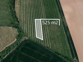 Prodej podílu pole, Boršice, 262 m2