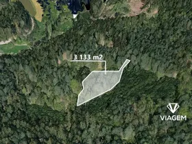 Prodej podílu lesa, Petráveč, 609 m2