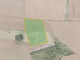 Prodej pole, Velvary, 7802 m2