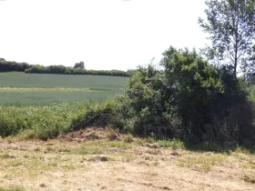 Dražba louky, Přeštěnice, 3046 m2