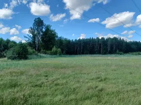 Dražba pozemku, Česká Lípa, 5369 m2