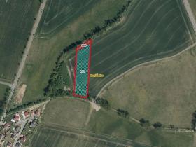 Prodej pole, Horní Ředice, 7349 m2