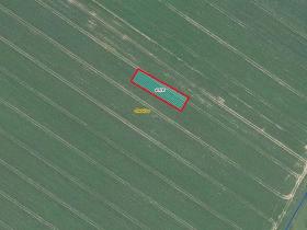 Prodej pole, Chlebičov, 966 m2