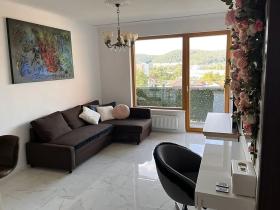 Pronájem bytu 2+kk, Brno, Pastviny, 56 m2