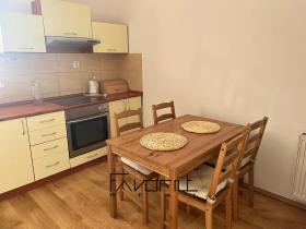 Pronájem bytu 1+1, Ostrava, Korunní, 53 m2