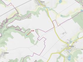 Dražba lesa, Náměšť nad Oslavou, 931 m2