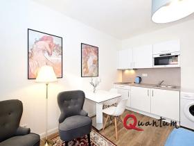 Pronájem bytu 1+kk, Praha - Nové Město, Půtova, 30 m2
