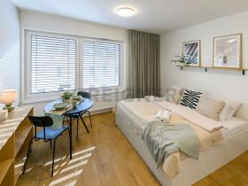 Pronájem bytu 1+kk, Brno, Cejl, 30 m2