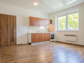 Pronájem bytu 1+kk, Olomouc, Edisonova, 35 m2