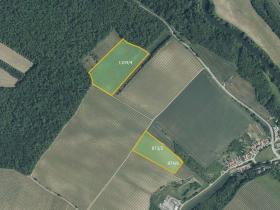 Prodej sadu/vinice, Bulhary, 82048 m2