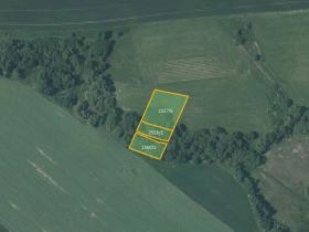 Prodej louky, Vítkov, 5637 m2