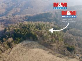 Prodej lesa, Městečko Trnávka - Stará Roveň, 81768 m2