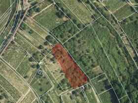 Pronájem zahrady, Hustopeče, 1387 m2