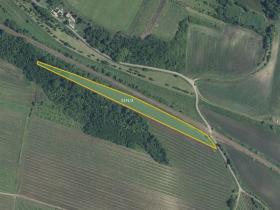 Prodej sadu/vinice, Novosedly, 6655 m2