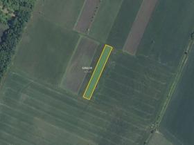Prodej pole, Novosedly, 3161 m2